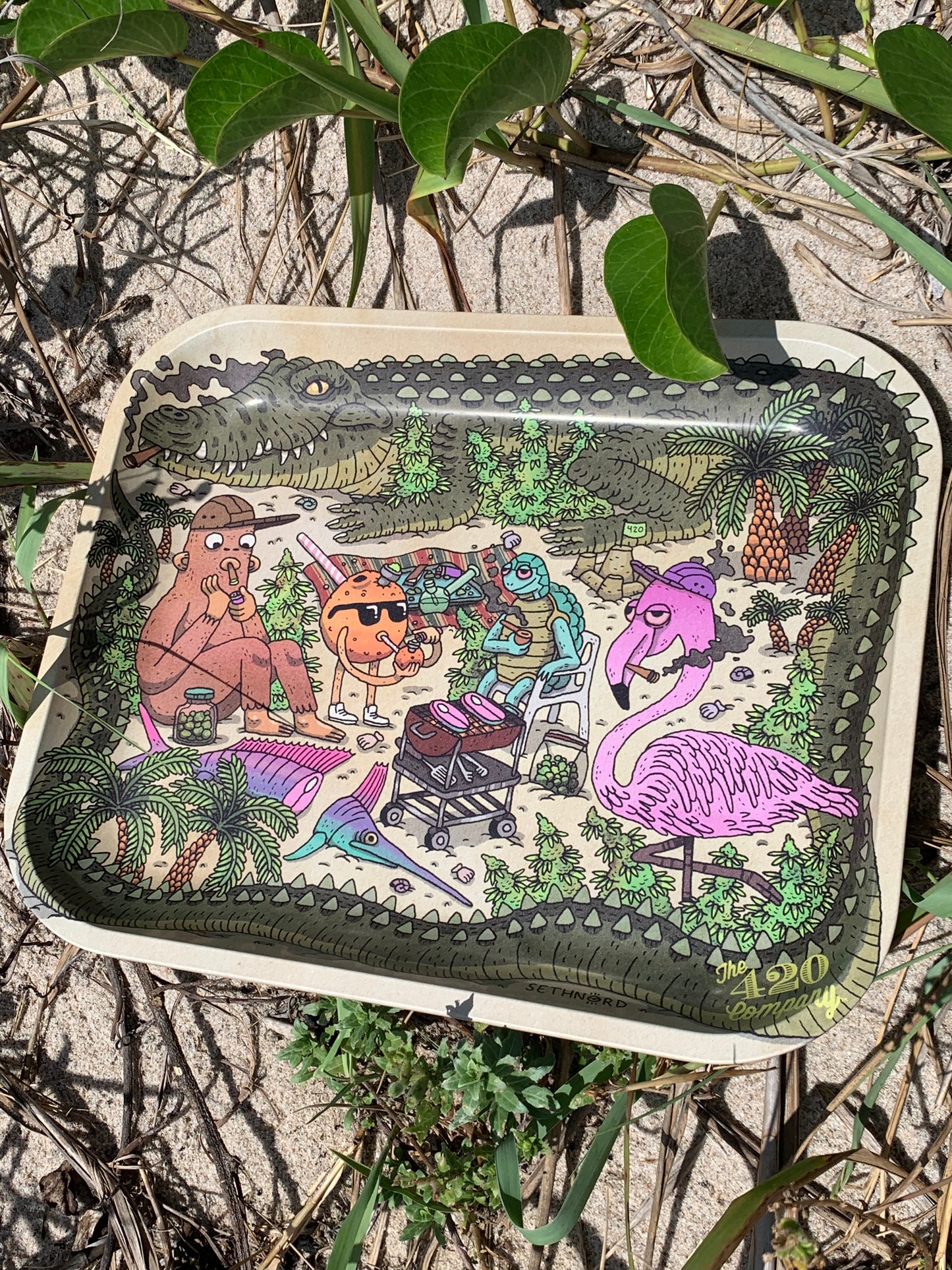Florida Vibes by Seth Nord - Large Tray